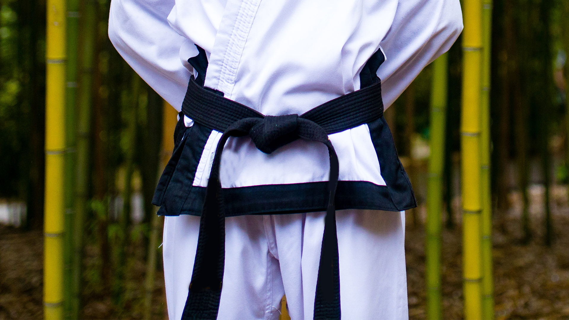blog_how to get lean six sigma black belt certification_png